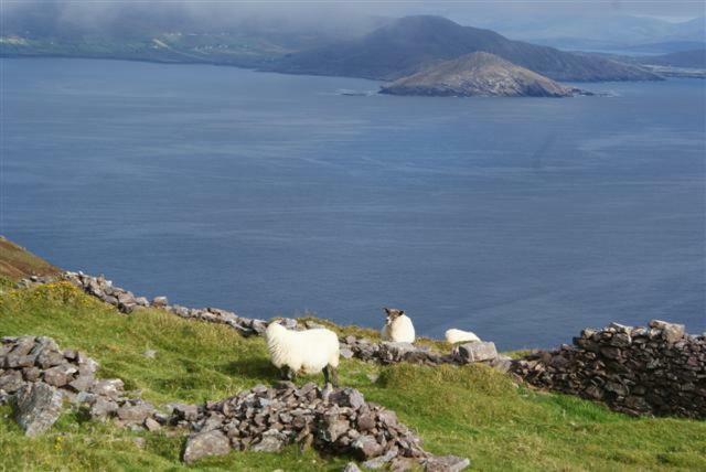 Rose Cottage Ballinskelligs Εξωτερικό φωτογραφία