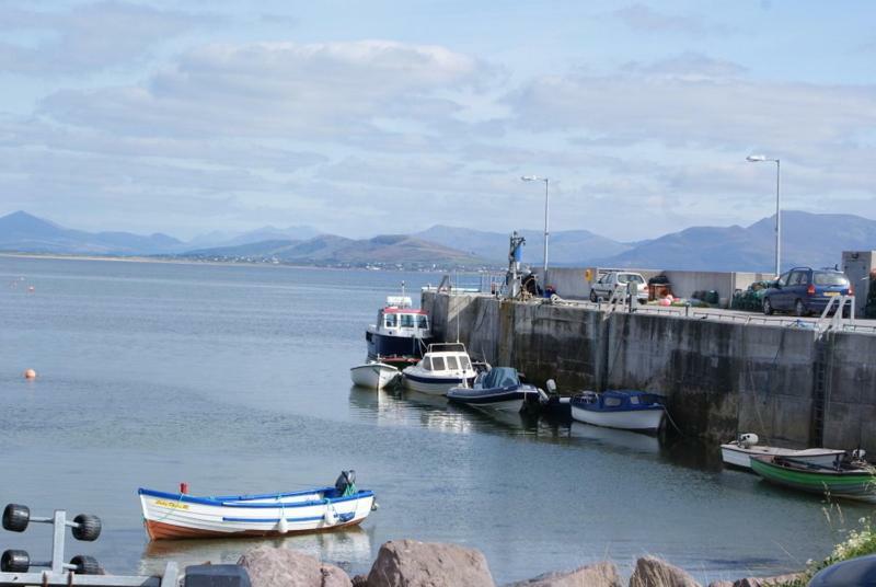 Rose Cottage Ballinskelligs Εξωτερικό φωτογραφία