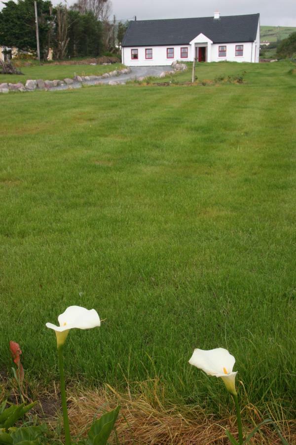 Rose Cottage Ballinskelligs Εξωτερικό φωτογραφία