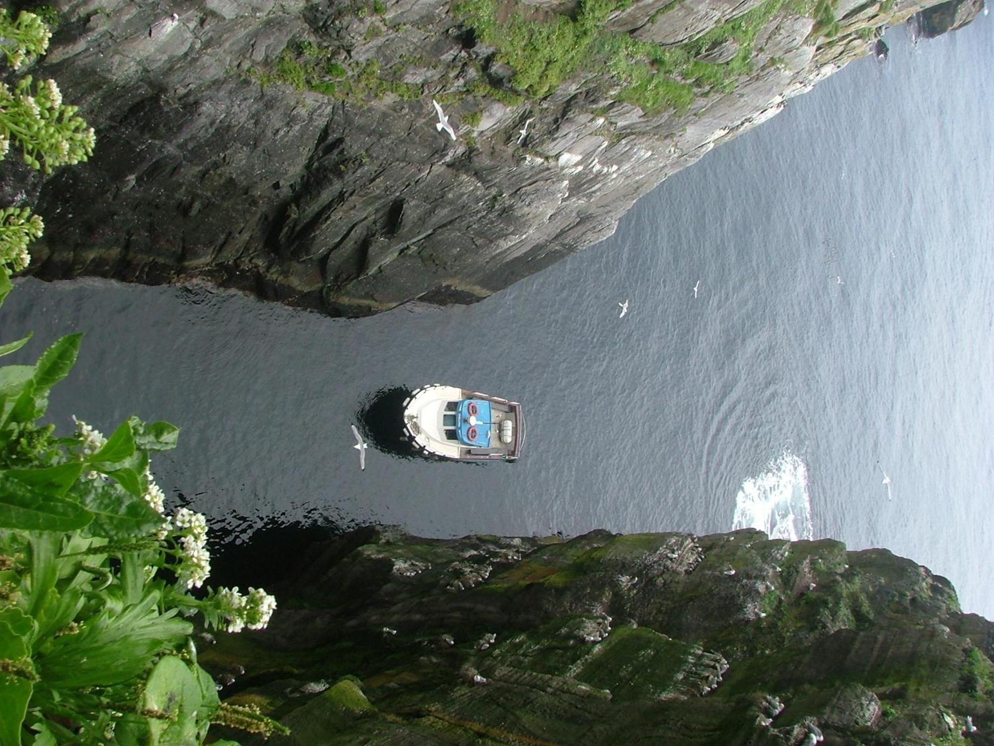 Rose Cottage Ballinskelligs Εξωτερικό φωτογραφία