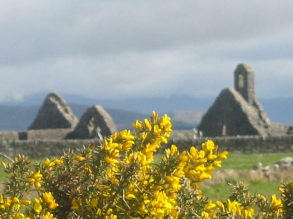 Rose Cottage Ballinskelligs Εξωτερικό φωτογραφία